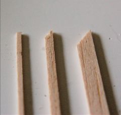 Balsa Tree Seeds