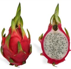 Dragon Fruit Seeds (Hylocereus undatus)