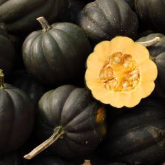 Sweet Reba Acorn Squash Seeds