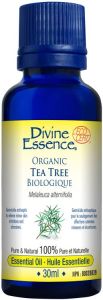 Huile Essentielle - Arbre à Thé *BIOLOGIQUE*