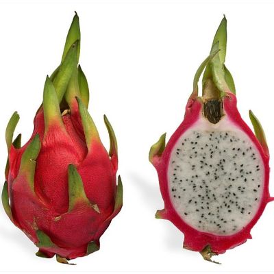 Graines Hylocereus Undatus (Pitaya)