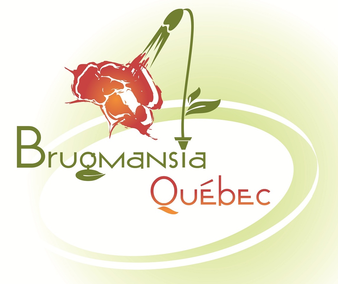 Logo brugmansia QC